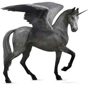 winged riding unicorn akhal-teke dapple grey