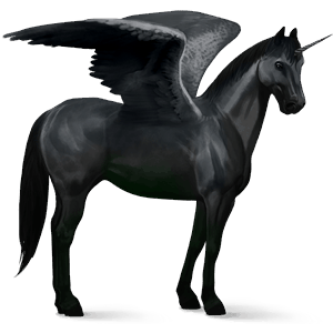 winged riding unicorn friesian black