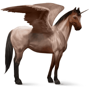 winged riding unicorn roan