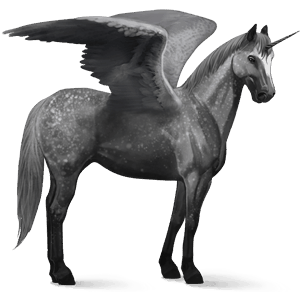 winged riding unicorn dapple grey