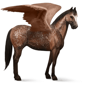 riding pegasus akhal-teke dark bay