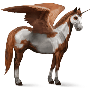 winged riding unicorn chestnut overo