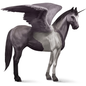 winged riding unicorn quarter horse mouse grey