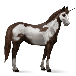 riding unicorn paint horse liver chestnut tobiano