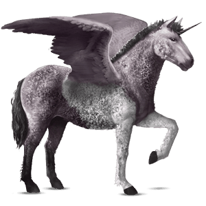 winged riding unicorn kwpn palomino