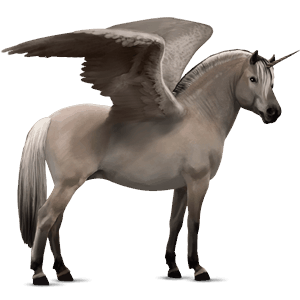 winged unicorn pony  welsh roan