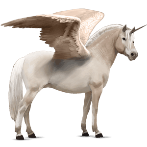 winged unicorn pony  highland pony light grey