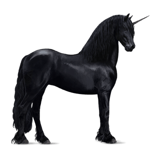 riding unicorn purebred spanish horse black