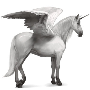 winged riding unicorn purebred spanish horse light grey