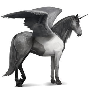 winged riding unicorn purebred spanish horse dapple grey