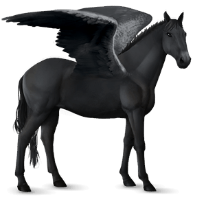 riding pegasus lipizzan light grey