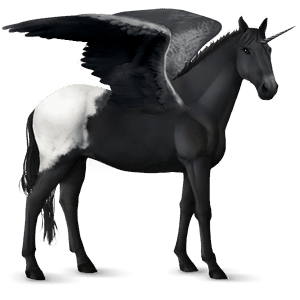 winged riding unicorn black leopard 