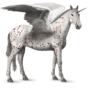 winged riding unicorn knabstrupper chestnut leopard 