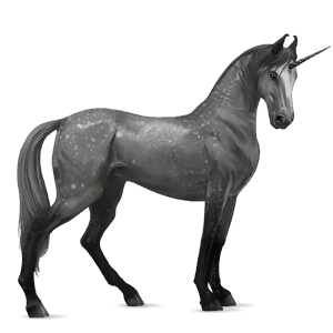 riding unicorn purebred spanish horse dapple grey