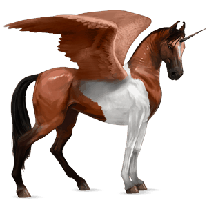 winged riding unicorn akhal-teke mouse grey