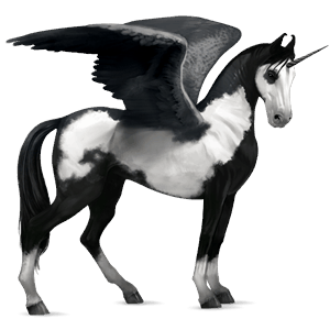 winged riding unicorn friesian black