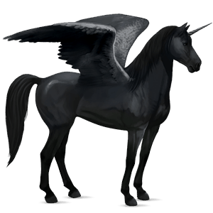 winged riding unicorn quarter horse black