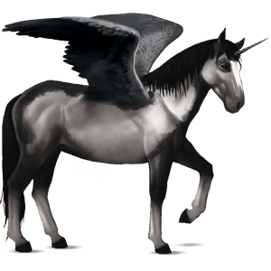 winged riding unicorn black overo