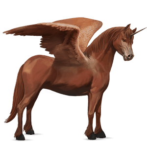 winged unicorn pony  welsh chestnut