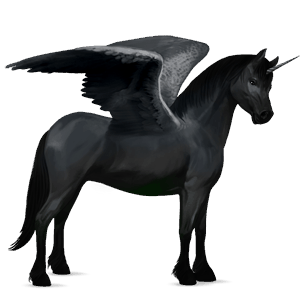 winged unicorn pony  highland pony black