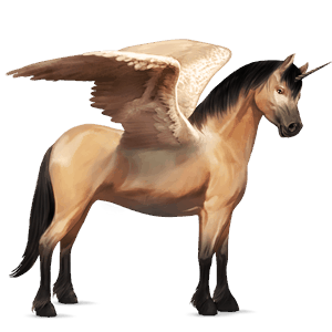 winged unicorn pony  newfoundland pony dapple grey