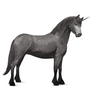 unicorn pony newfoundland pony dapple grey