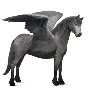 pegasus pony welsh dapple grey