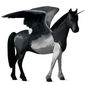 winged riding unicorn friesian black