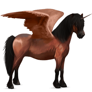 winged unicorn pony  newfoundland pony liver chestnut