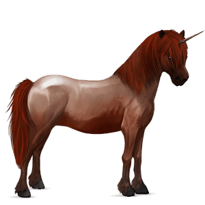 unicorn pony newfoundland pony strawberry roan