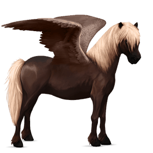 pegasus pony newfoundland pony chestnut