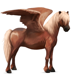 pegasus pony newfoundland pony flaxen chestnut 