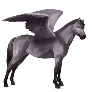 pegasus pony welsh mouse grey