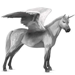 winged unicorn pony  newfoundland pony dapple grey