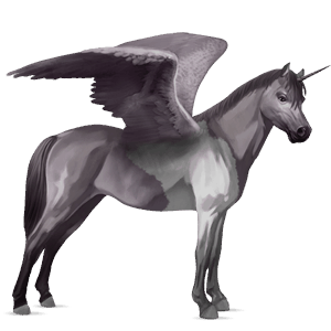 winged unicorn pony  dartmoor mouse grey