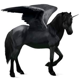 winged riding unicorn kwpn black