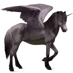 winged riding unicorn akhal-teke bay