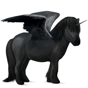 winged unicorn pony  black