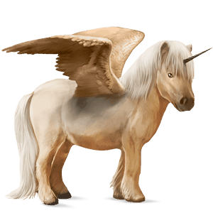 winged unicorn pony  shetland dapple grey