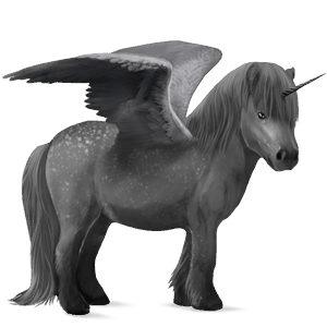 winged unicorn pony  newfoundland pony dapple grey