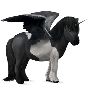 winged unicorn pony  shetland black tobiano