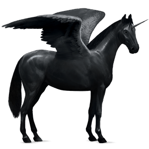 winged riding unicorn holsteiner black