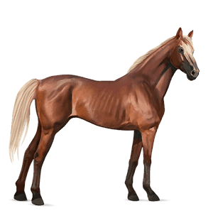 riding horse flaxen chestnut 