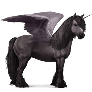 winged riding unicorn vanner black tobiano