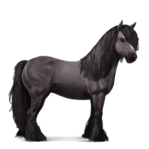 riding horse vanner mouse grey