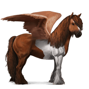 riding pegasus vanner chestnut tobiano