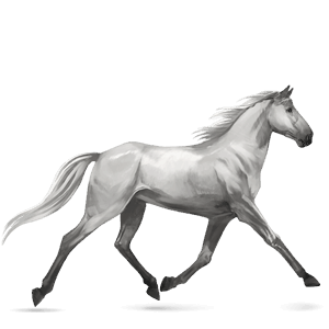 riding horse light grey