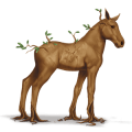 special horse yggdrasil