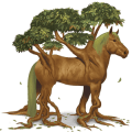 special horse yggdrasil