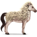 wild horse hedgehog